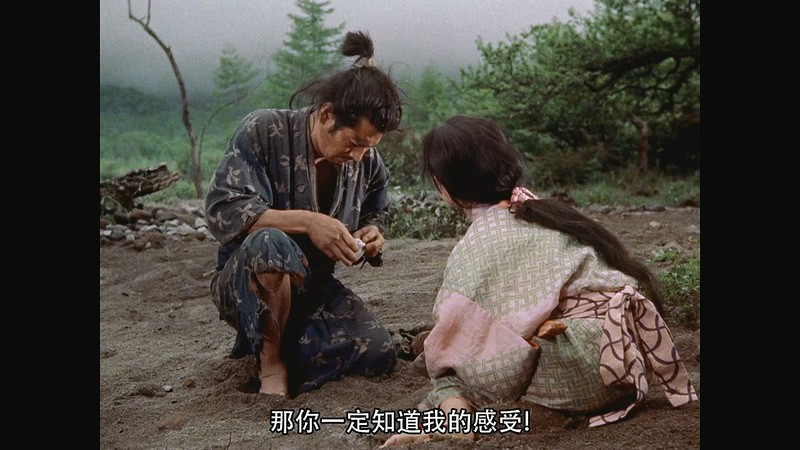 1954动作冒险《宫本武藏》BD720P&BD1080P.日语中字截图