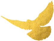 福建高速养护网 -  千亿（中国）体育登录入口