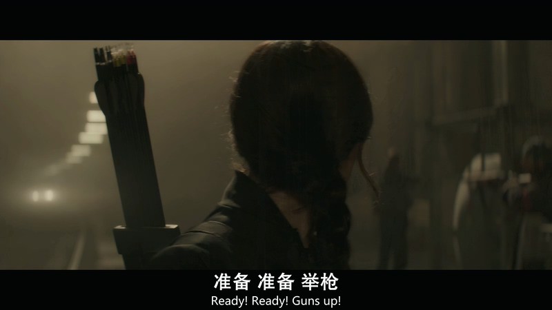 2015科幻动作《饥饿游戏3：嘲笑鸟(下)》BD1080P.国英双语中英双字截图