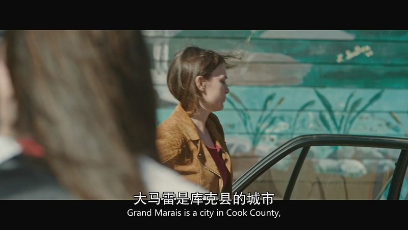 [HD-MP4] 跨州轶事录 / 两州情缘 / Virginia Minnesota (2019)截图