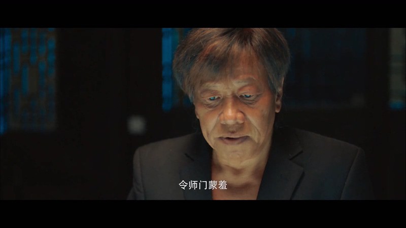 2020国产动作《硬击》HD1080P.国语中字截图