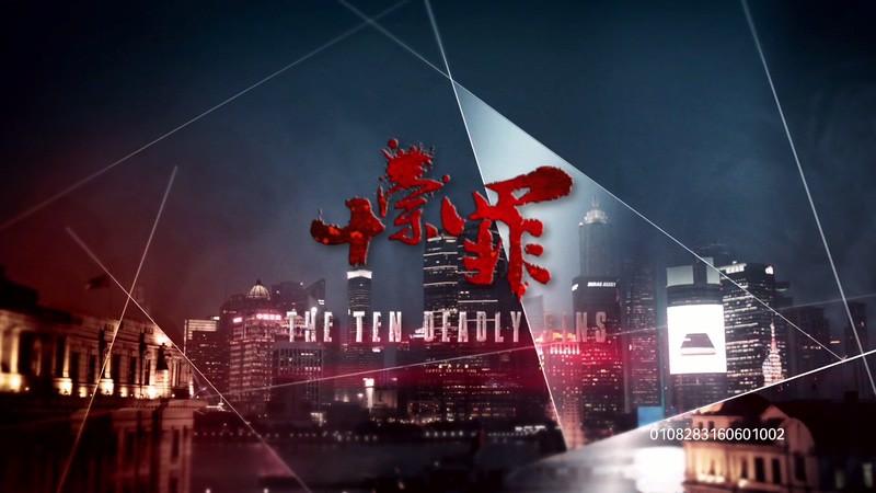2016悬疑犯罪《十宗罪》21集全.HD1080P.国语中字截图