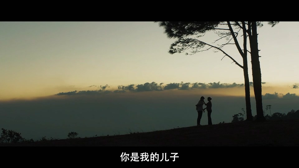 2020越南惊悚《丛林求生》HD1080P.越南语中字截图