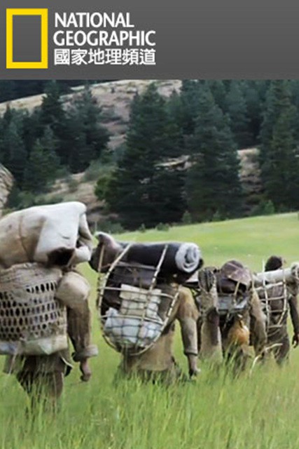 活在荒野封面图