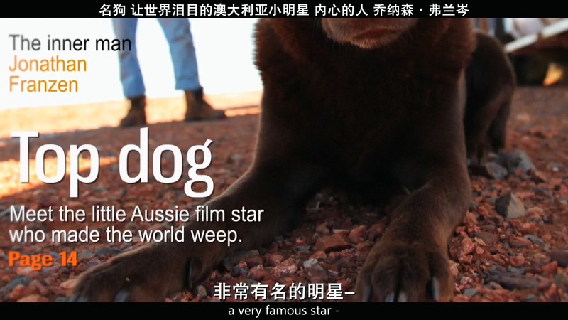 2019美国喜剧《Koko:红犬历险记》HD720P&HD1080P.英语中英双字截图