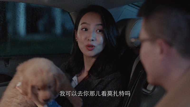 2021国剧《陌生的恋人》29集全.HD1080P.国语中字截图
