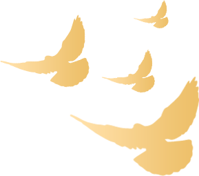 福建高速养护网 -  米兰（中国）