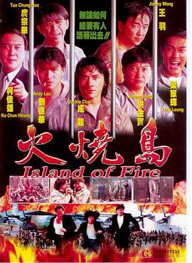 火烧岛(1991)封面图