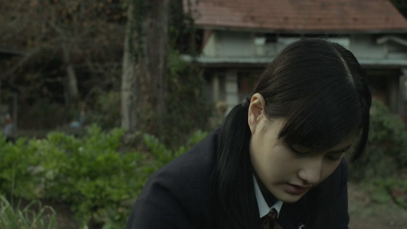 2014高分剧情《小森林夏秋篇》BD720P&BD1080P.日语中字截图