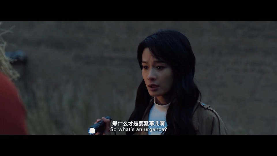 2022悬疑动作《藏地奇兵》HD1080P.迅雷下载