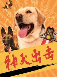神犬出击封面图