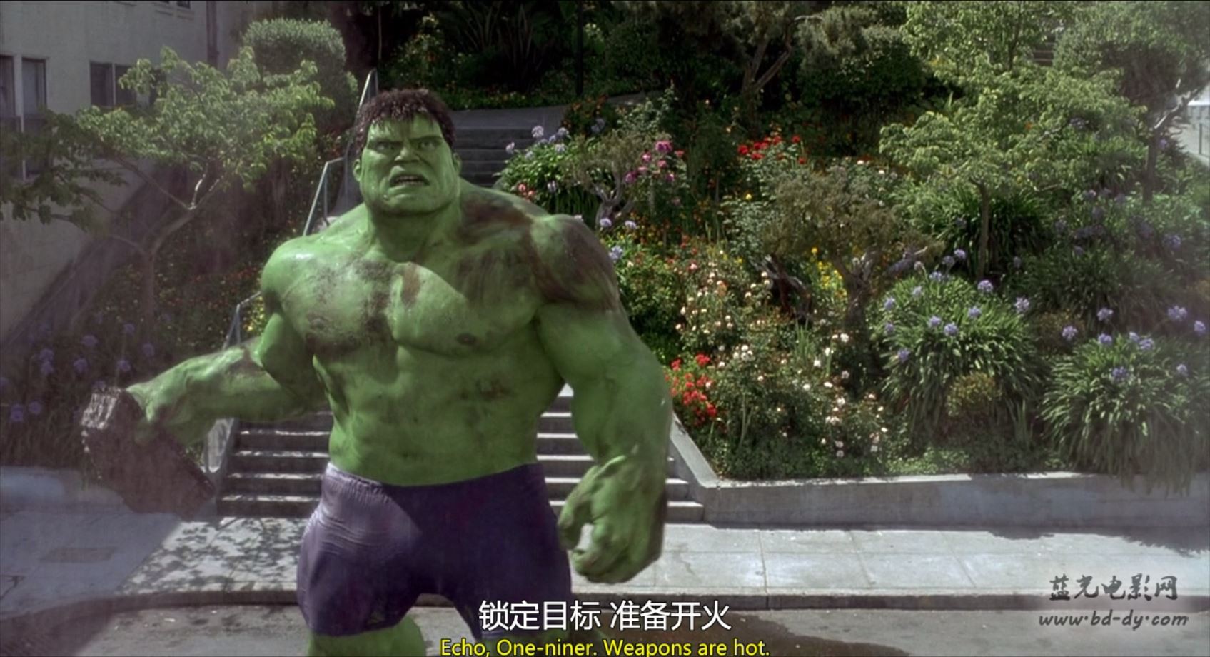 绿巨人剧照