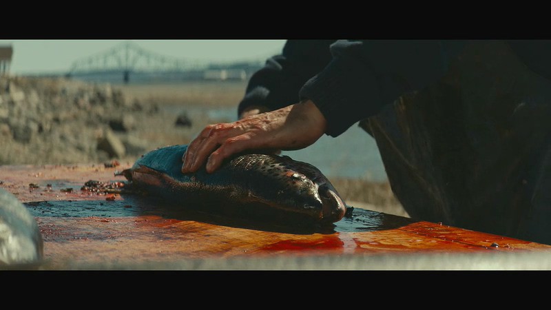 2019加拿大恐怖《血量子》HD720P&HD1080P.英语中字截图