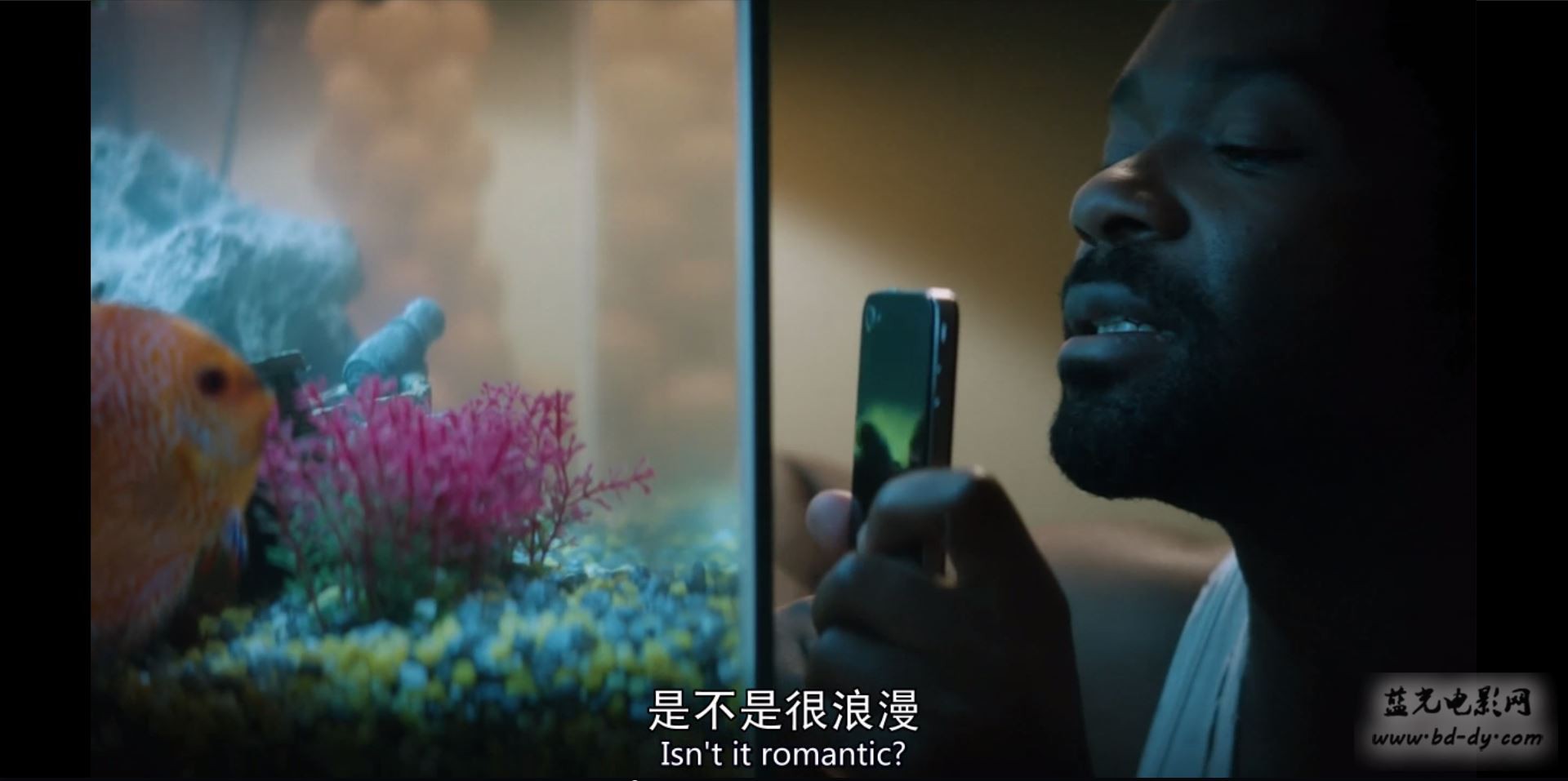 《夜莺/变奏心灵》2014美国剧情.BD720P.中英双字截图