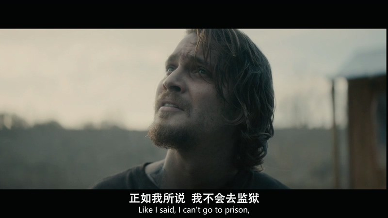 2019悬疑惊悚《化为灰烬》HD720P&HD1080P.英语中英双字截图