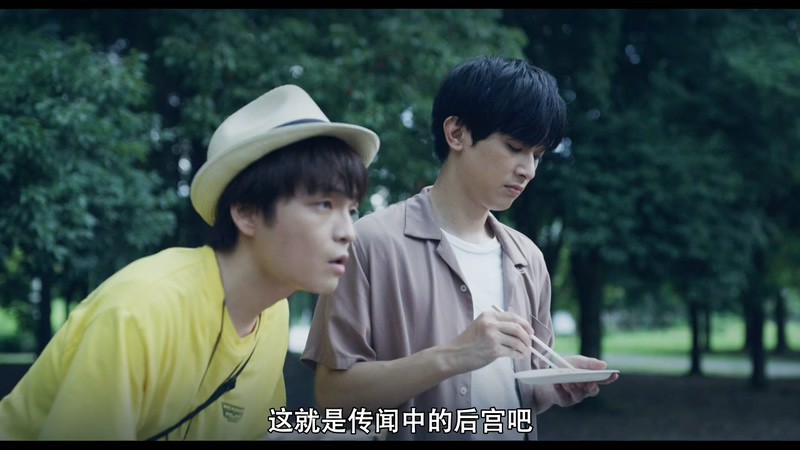 2020日本冒险《青涩的伤痛与脆弱》HD720P&HD1080P.日语中字截图