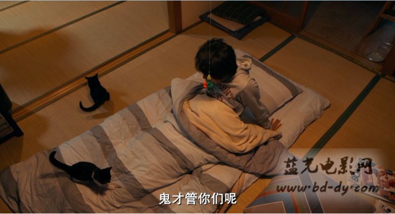 《为什么猫都叫不来》2016日本高分剧情.BD720P.高清日语中字截图