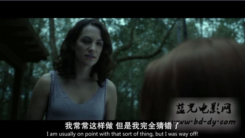 《无声夜/安静》2016美国恐怖.HD720P.中英双字截图