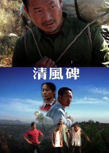 清风碑封面图