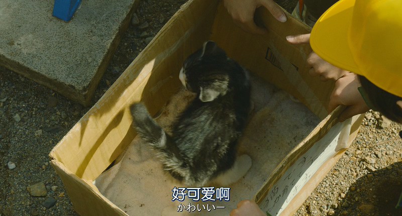 [BD-MP4] 旅猫日记 / Tabineko Report / The Travelling Cat Chronicles / 旅猫リポート (2018)截图