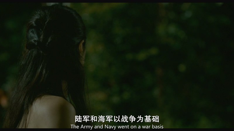 2019历史战争《宿敌》HD720P&HD1080P.英语中英双字截图