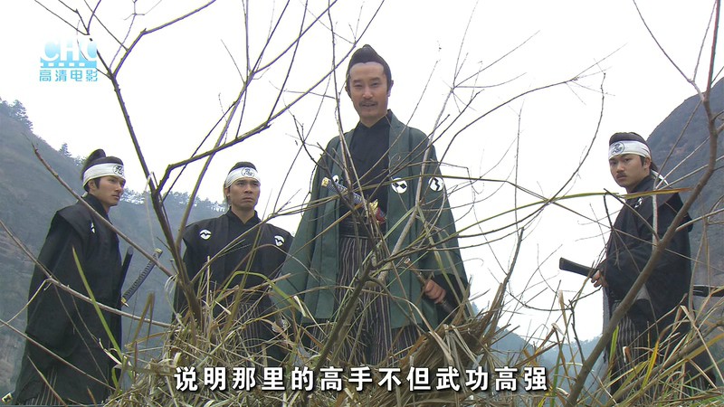 2007动作武侠《镖行天下10之神武大炮》HD720P.国语中字截图