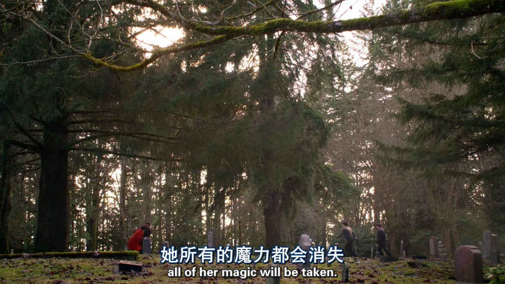 《童话镇第三季》22集全.2013奇幻剧情.HD720P.中英双字截图