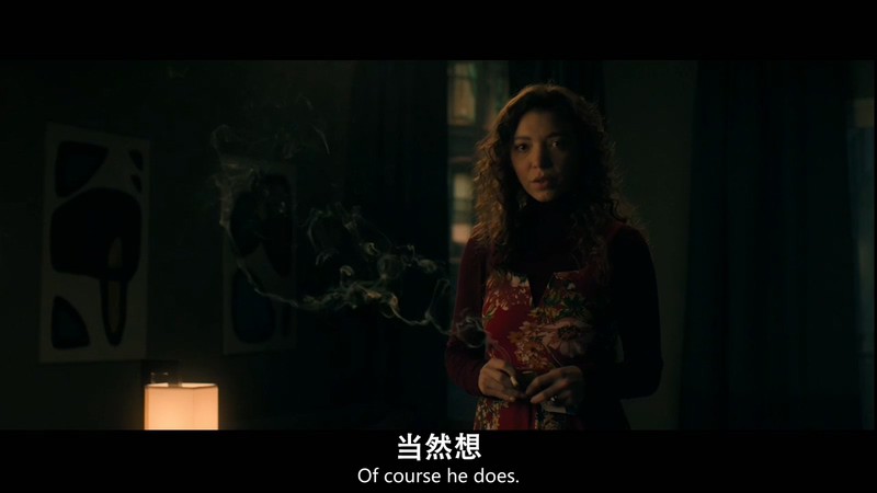 2020美国惊悚《迷盲》HD720P&HD1080P.英语中英双字截图