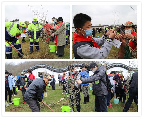 常州栖凤山举行“绿色清明 种植新生”植树节主题活动 植树现场