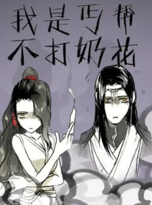 我是丐帮不打奶花封面图