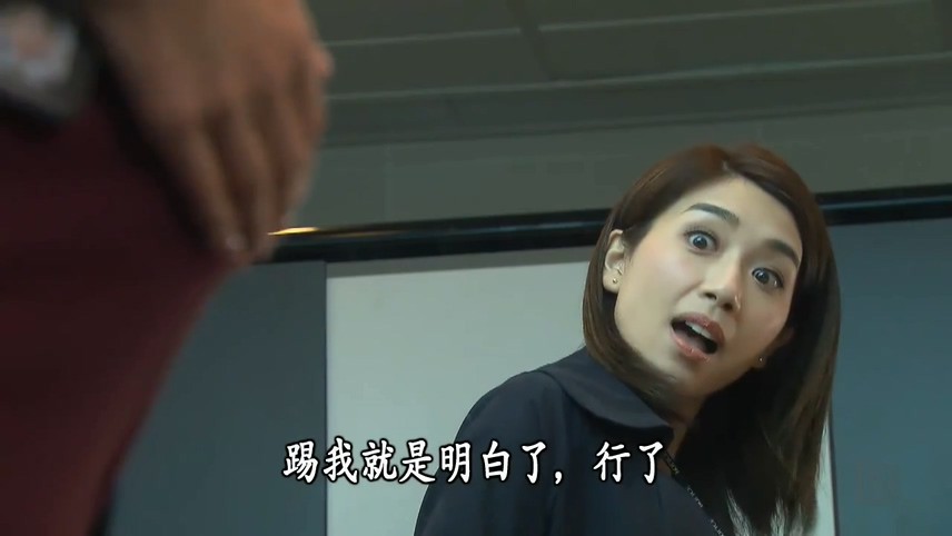 2017港剧《杂警奇兵》20集全.HD720P.国语中字截图