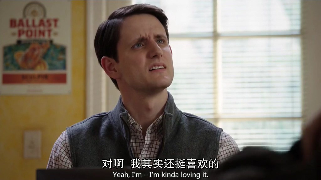 《硅谷第三季》10集全.2016美国喜剧.HD720P.中英双字截图