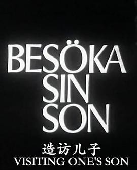 造访儿子封面图