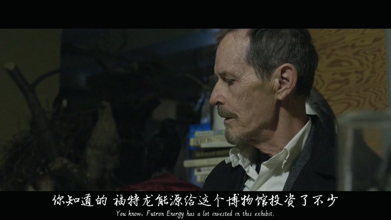 2016悬疑犯罪《群鸟之地》HD720P.英语中英双字截图