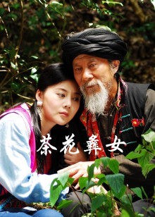 茶花彝女封面图