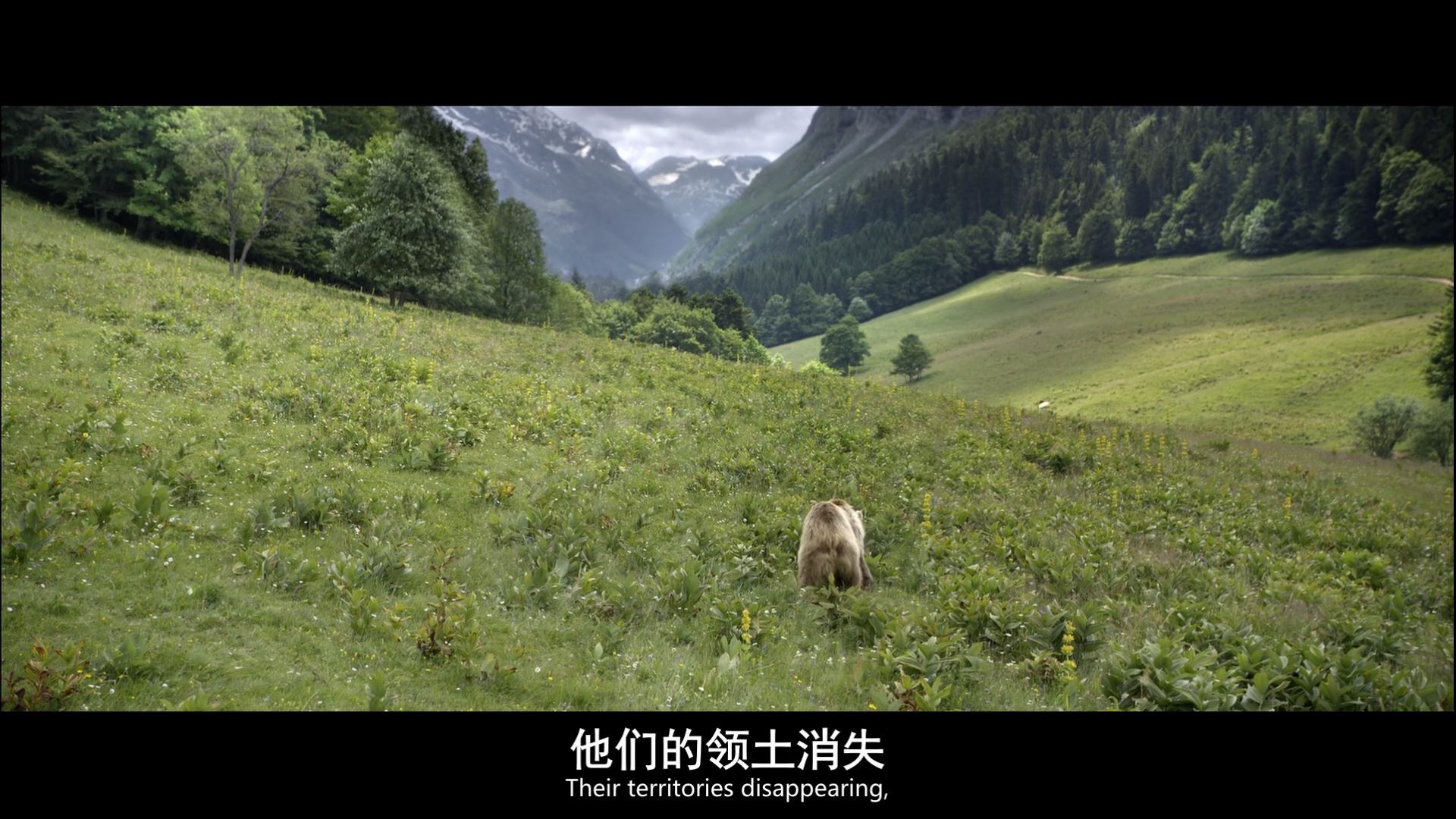 《地球四季》2015纪录片.BD1080P.中英双字截图