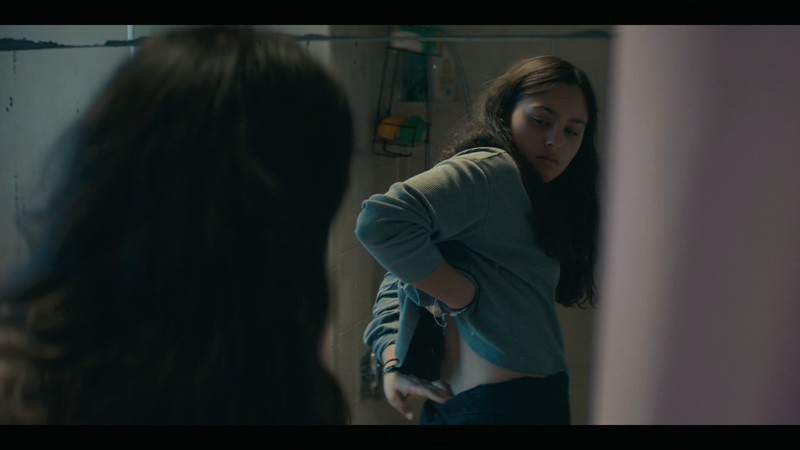 2019美国惊悚《分享》HD720P&HD1080P.英语中英双字截图