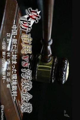 中国环境诉讼攻防封面图