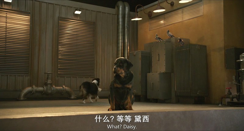 2018冒险喜剧《汪星卧底》BD720P.英语中英双字截图;jsessionid=Wb-Av6n0Di2nZXP5mQqmXcUEOI6LnqIKCOlWItZw