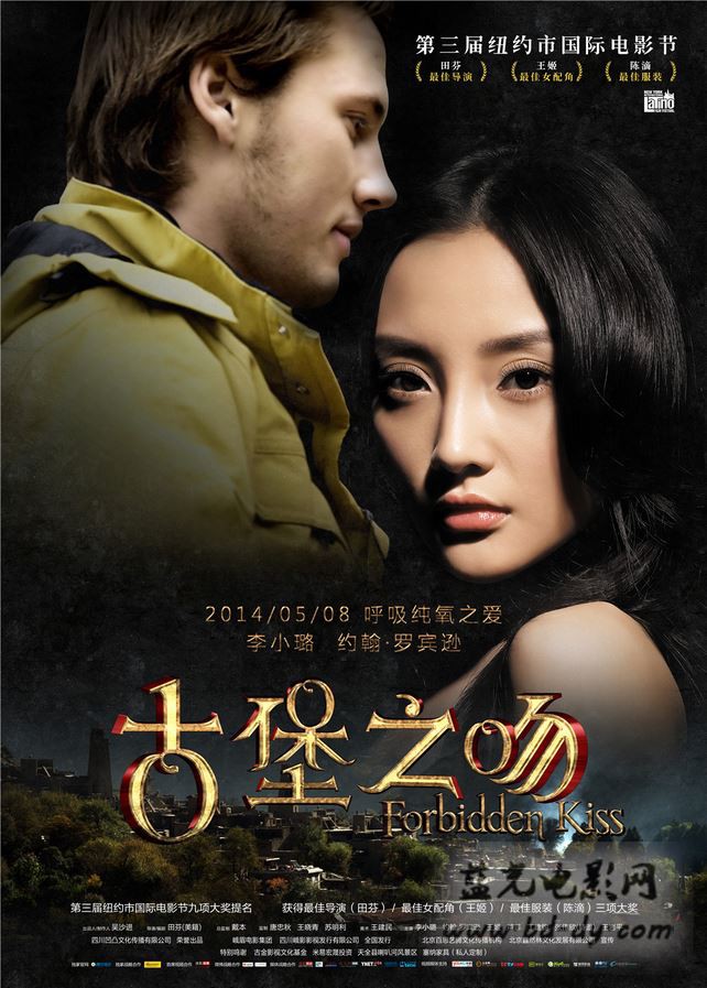 幻影父亲2010