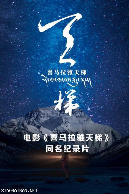 可不可以你也恰恰喜欢我2022