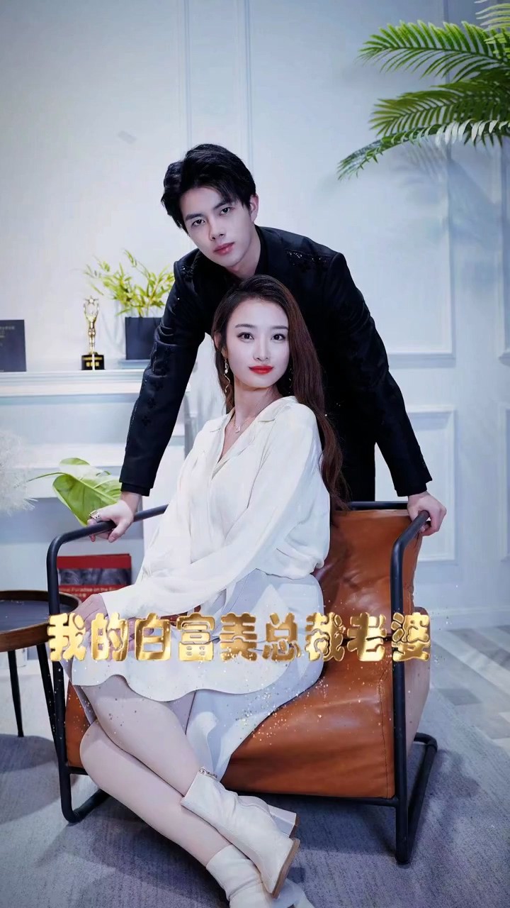 我的白富美老婆封面图