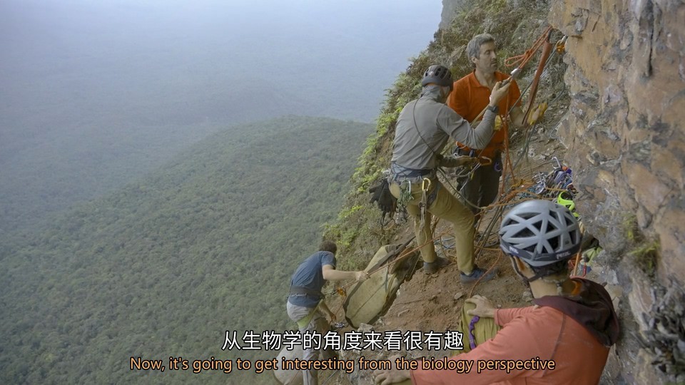 探险家：最后的特普伊山剧照