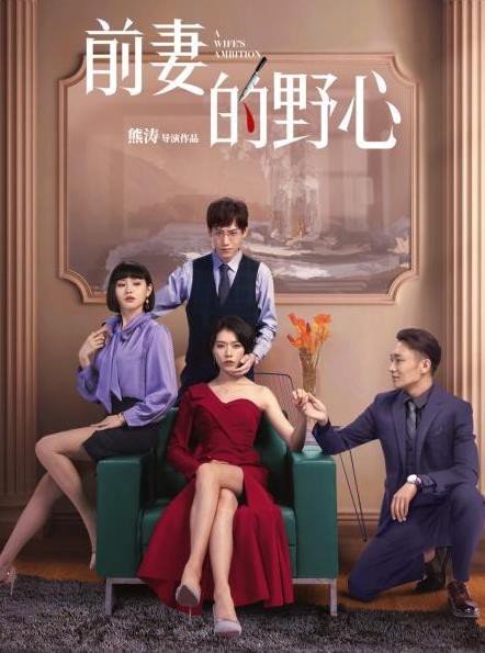 前妻的野心封面图
