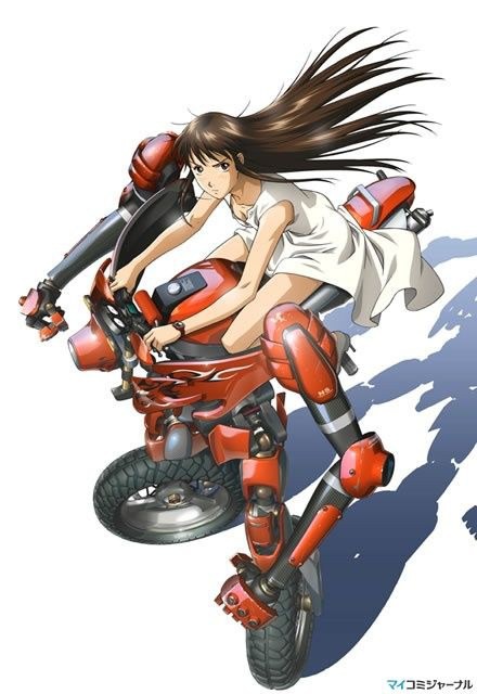 背骑少女封面图