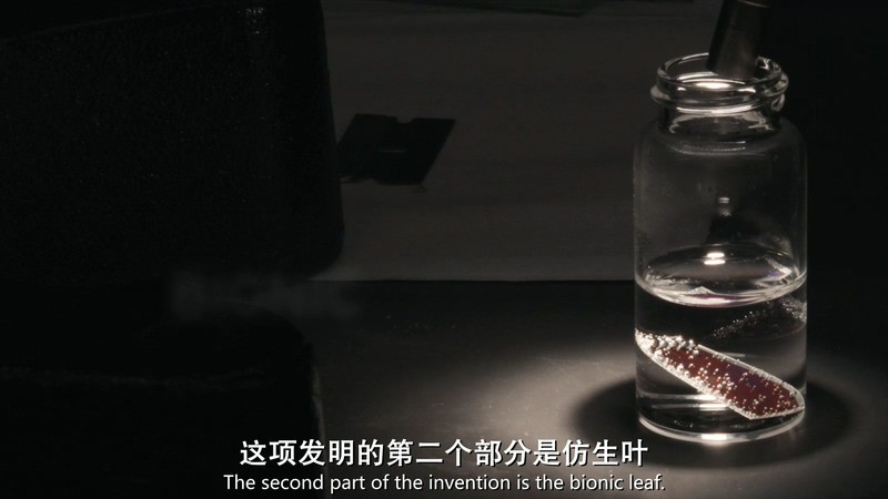 2019美国纪录《冰上火》HD720P&HD1080P.英语中英双字截图