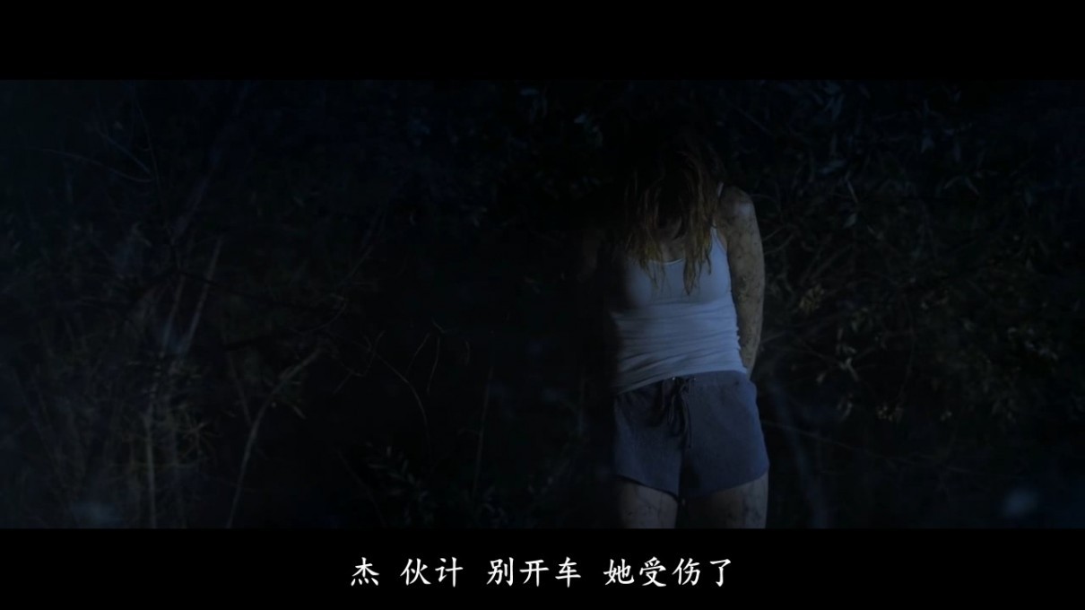 《女劫/XX》2017美国恐怖.HD1080P.中英双字截图