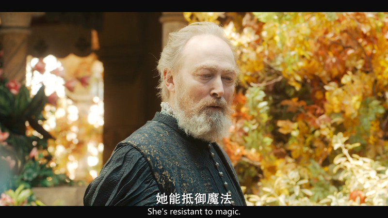 2019美剧《猎魔人第一季》8集全.HD1080P.英语中英双字截图