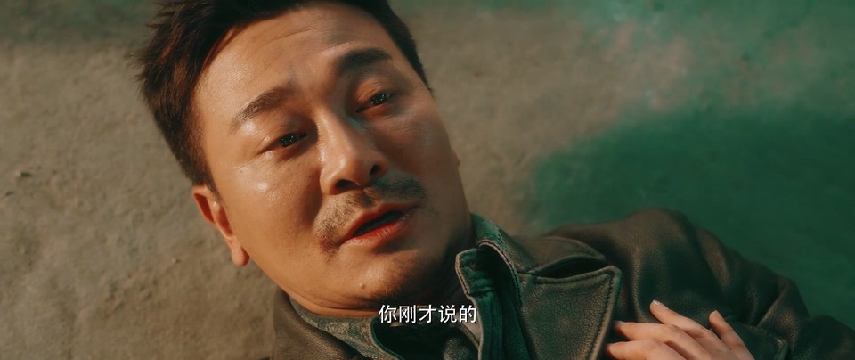 2023国产动作《王牌替身》HD1080P.国语中字截图