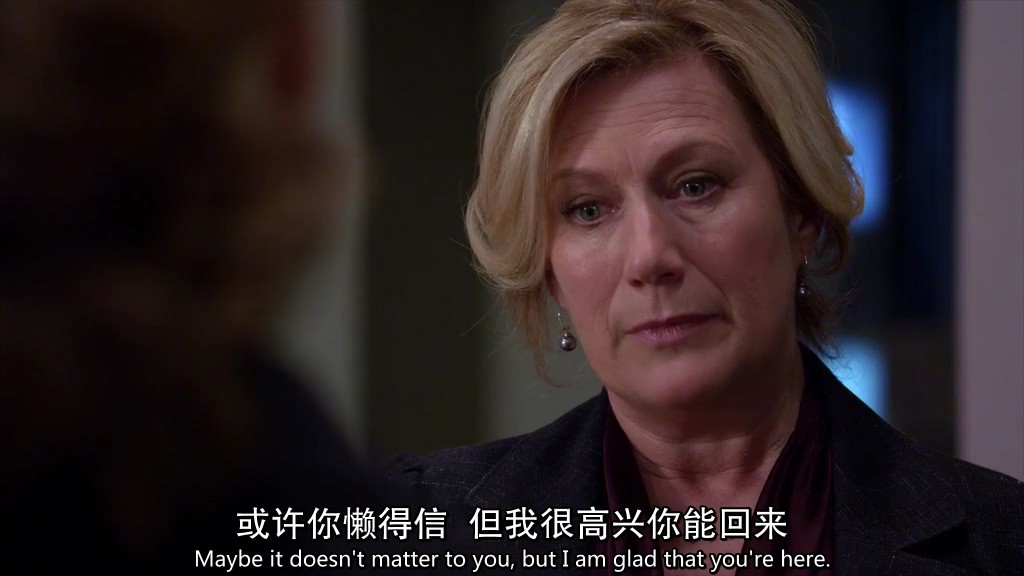 2012犯罪悬疑《犯罪心理第八季》24集全.HD1080P.英语中英双字截图